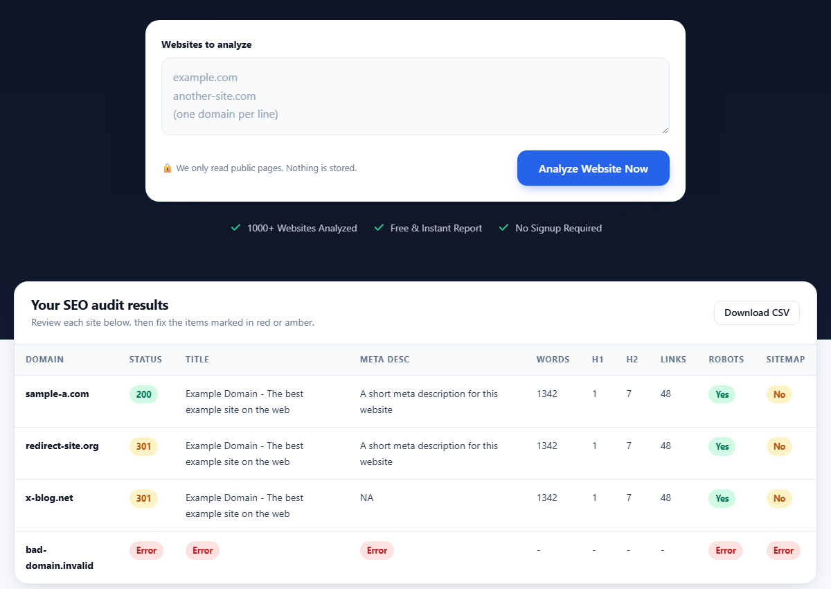 SEO Audit Report Preview